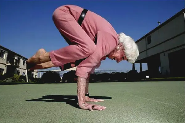 New Project (17) Weight-loss diets for the elderly